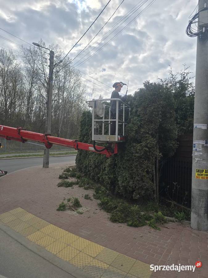 Wycinka Drzew Warszawa Pielęgnacja Drzew i