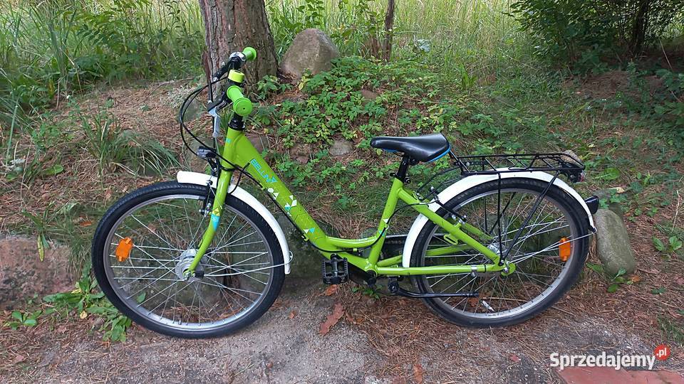 Alu Rower Dziecięcy Młodzieżowy Bellini Emma 305 Wołów