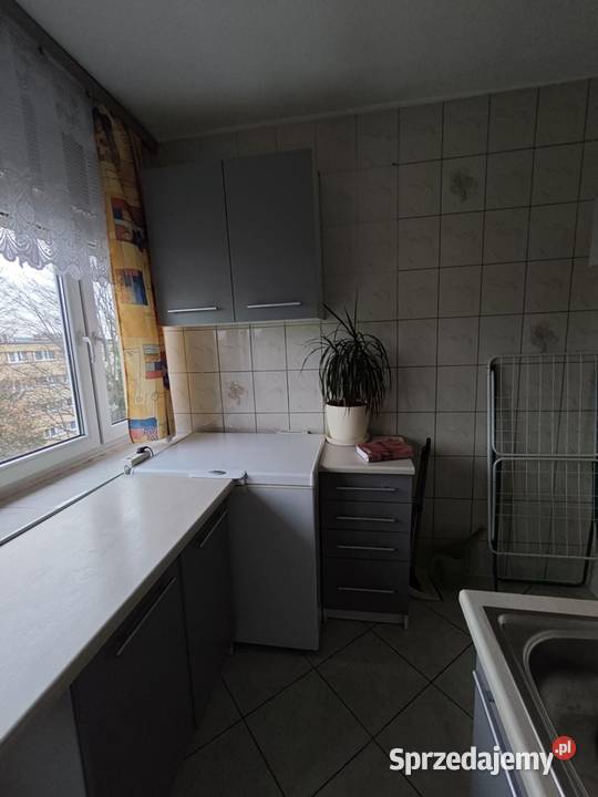 M3Widzew pelen rozkład dobra Sprzedaż Łódź