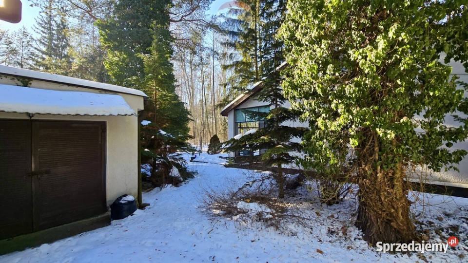 Działka zabudowana Zalesie Górne Kwiat Paproci