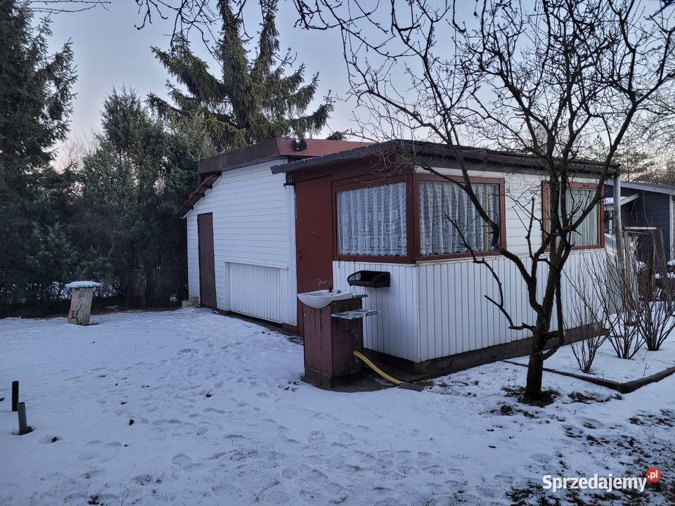 Zadbana działka rekreacyjna ROD Wiosenka Pabianice