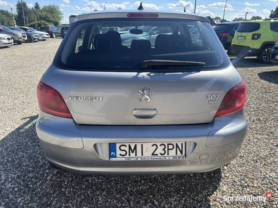 Peugeot 307 śląskie Paniówki