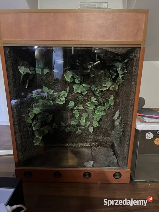 Duże pionowe terrarium