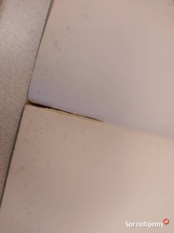 Album Handbuch des Sports Gdańsk