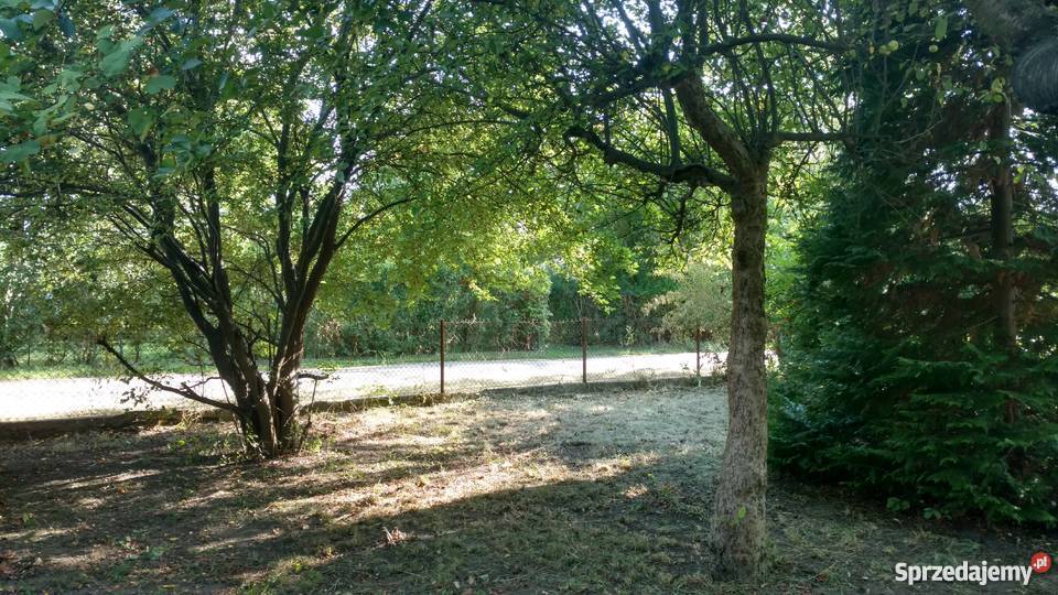 Działka ROD Warszawa Jedność 500 m2 na