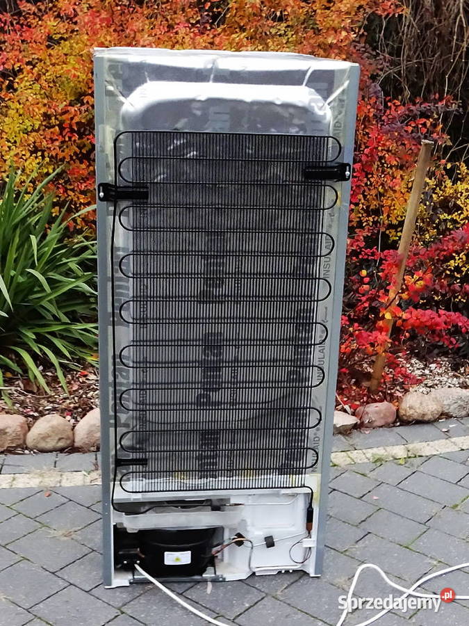 Lodówkozamrażarka pod zabudowę 191 L Biłgoraj