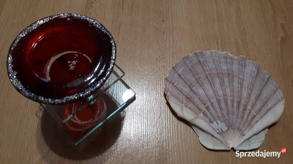 Świecznik na tealighty muszla Rybnik