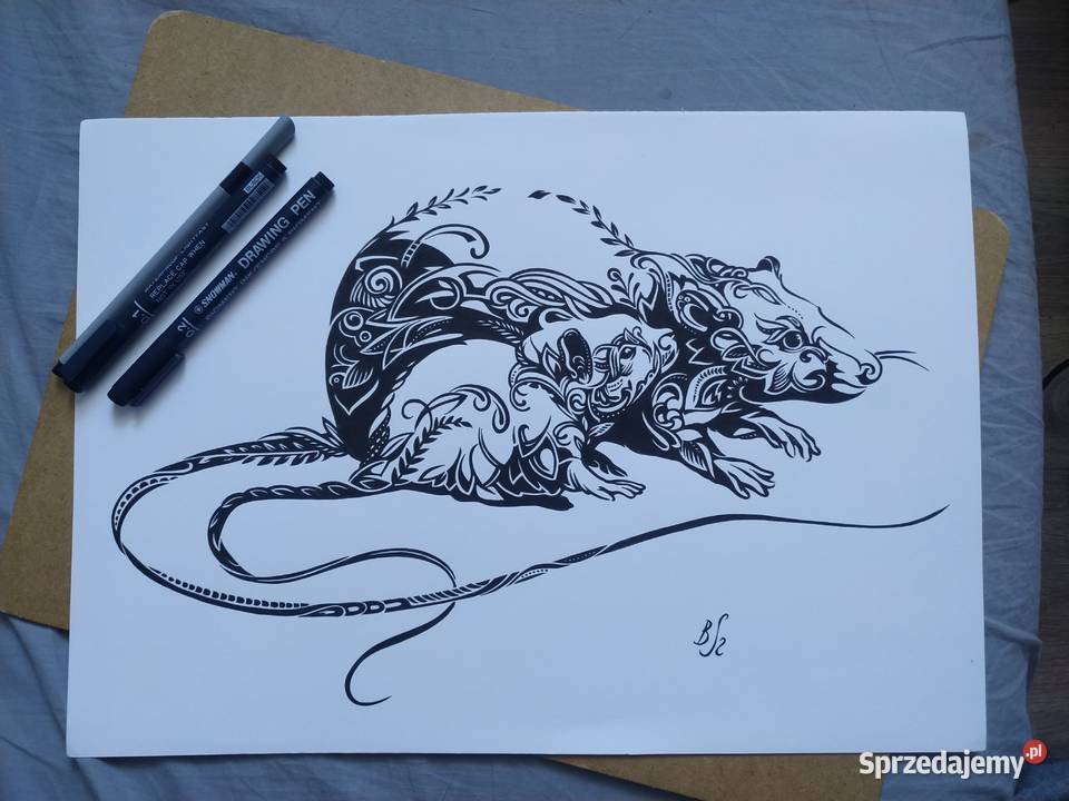 Rysunek szczury cienkopis blok tech A3 250 gm2 Warszawa