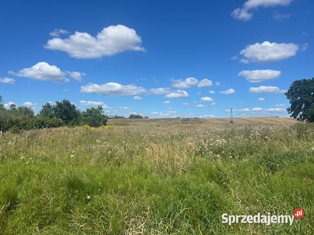 Syndyk sprzeda udział w wysokości 14 Kłodowo