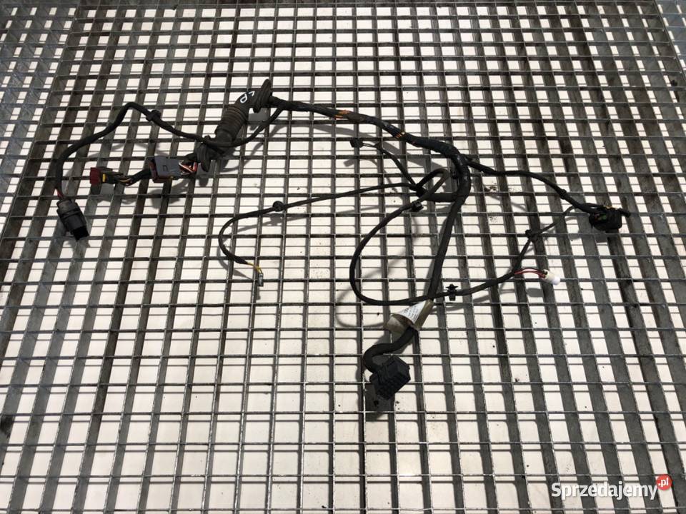 WIĄZKA DRZWI PRZÓD LEWY DAF N 1938874 PRZEWÓD Drzwi sprzedam