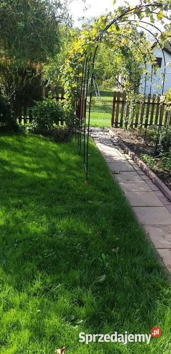 Działka ROD Tamel ogródek działkowy rekreacyjna