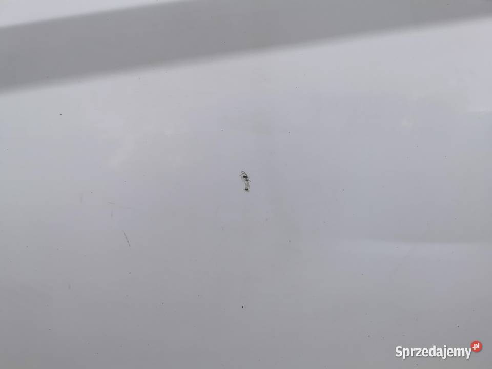 Drzwi Lewy Przód Przednie Lewe Ford Fiesta MK7 Motoryzacja Wyszków