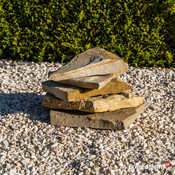 Kamień ogrodowy dzikówka białokremowa Micigózd