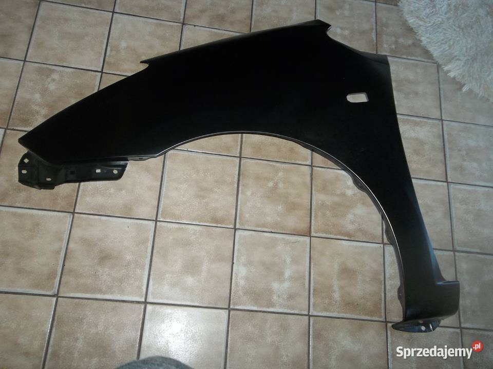 TOYOTA PRIUS 0407 blotnik