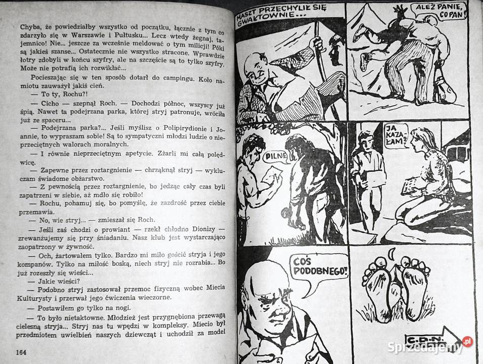 Klub włóczykijów Edmund Niziurski Chełm sprzedam