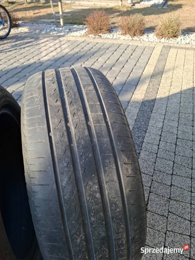 Opony Pirelli Kalinówka