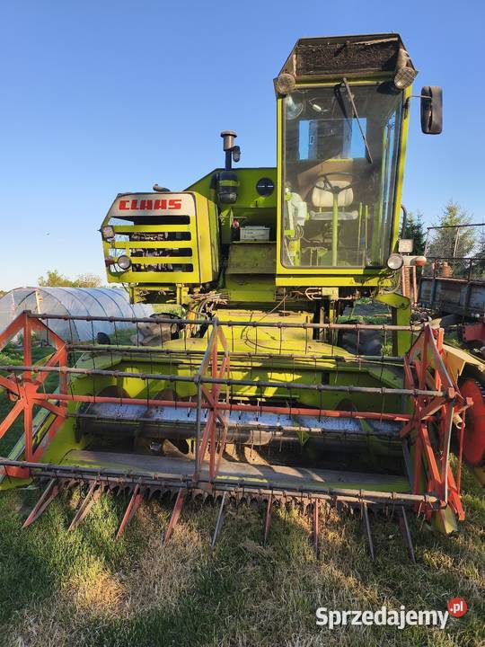 Claas Consul nie Merkator kator Zamość
