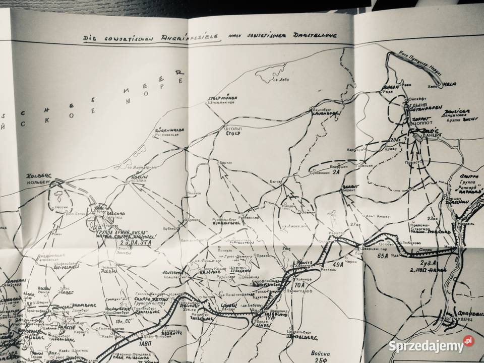 3780 Pomorska Pasja Szczecin