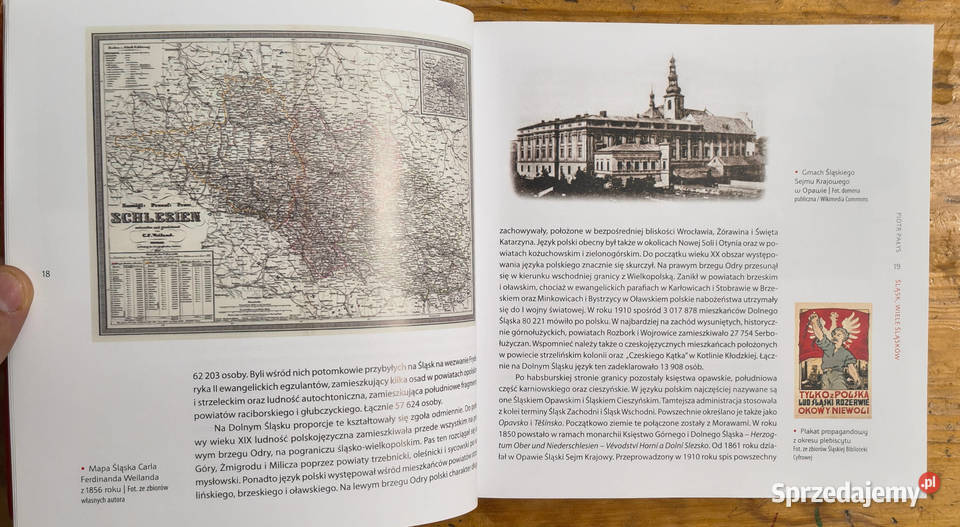 Powstania Śląskie Polityka Historia Pamięć Sosnowiec