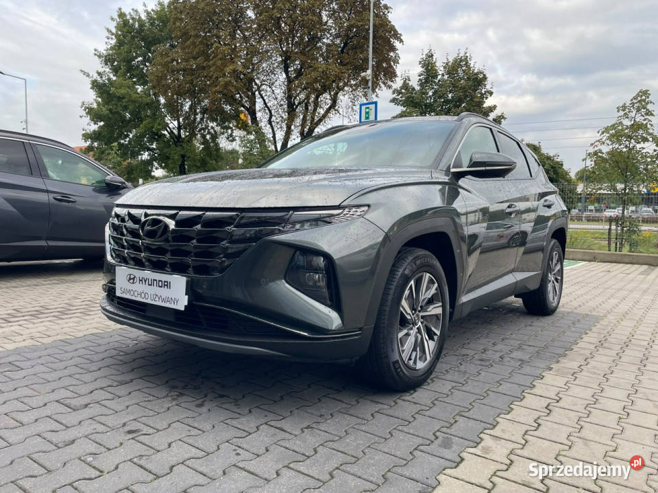 Hyundai Tucson 16TGDI HEV 230 Executive automatyczna Piotrków Trybunalski