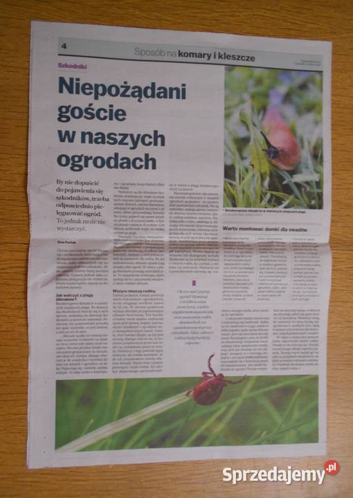 Sposób na komary i kleszcze Gazeta Wyborcza lubelskie Parczew