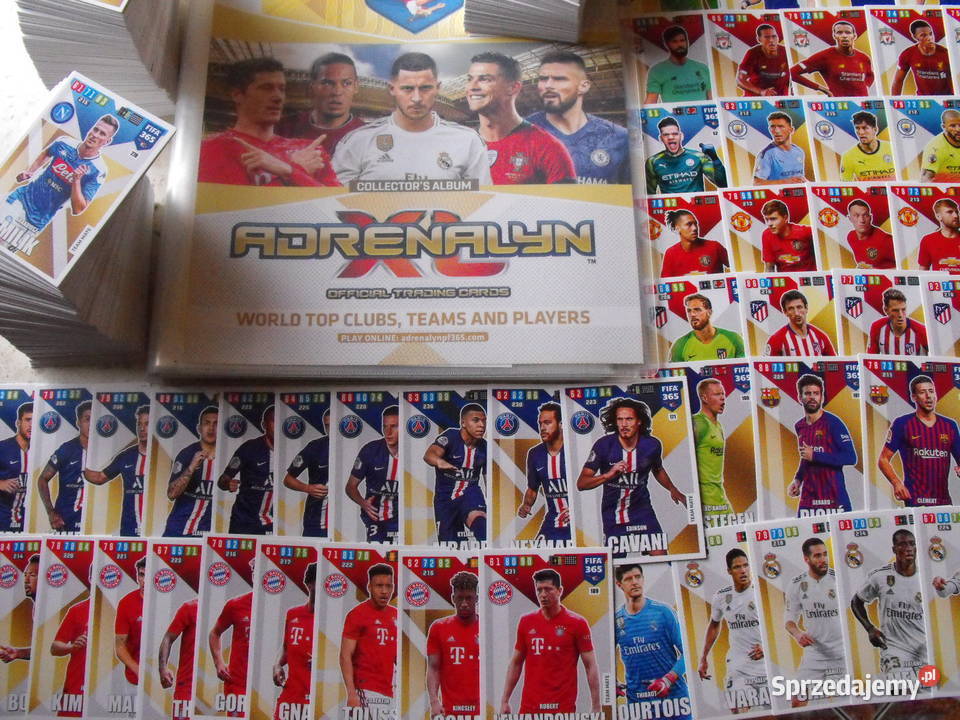 Zestaw kart z FIFA 365 v 2020 komplet 216 kart i śląskie Mykanów