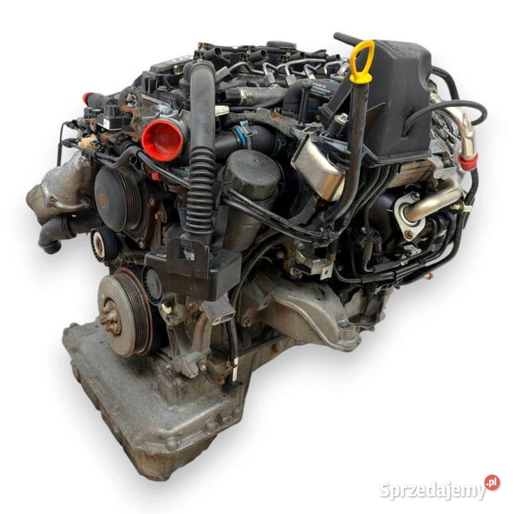 SILNIK 651950 Mercedes V Klasa Vito W447 Chełm
