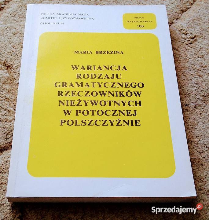 Wariancja rodzaju gramatycznego rzeczowników sprzedam