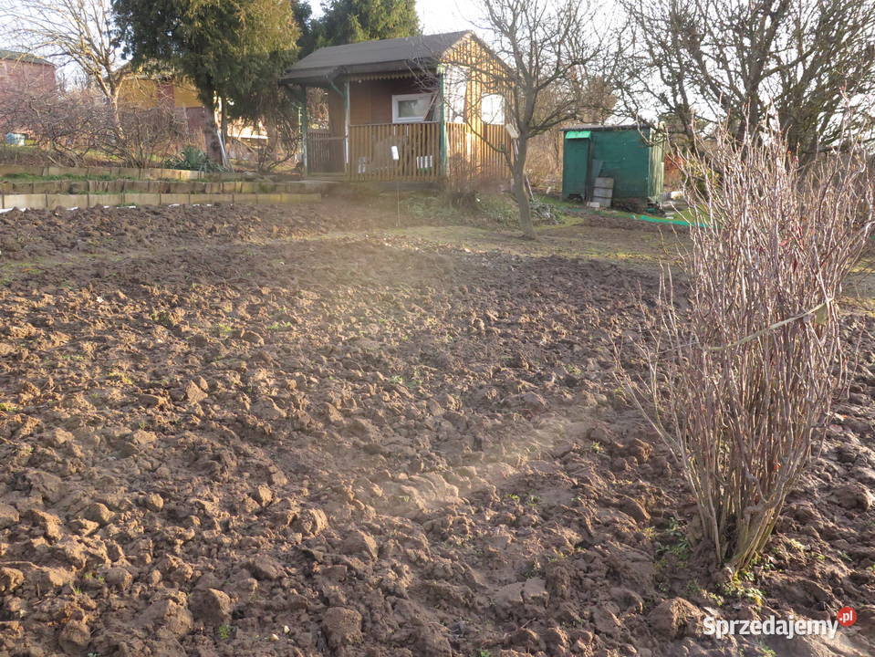Działka z widokiem ROD Ogródek 300m2 Bratek 300m2 Dąbrowica sprzedam