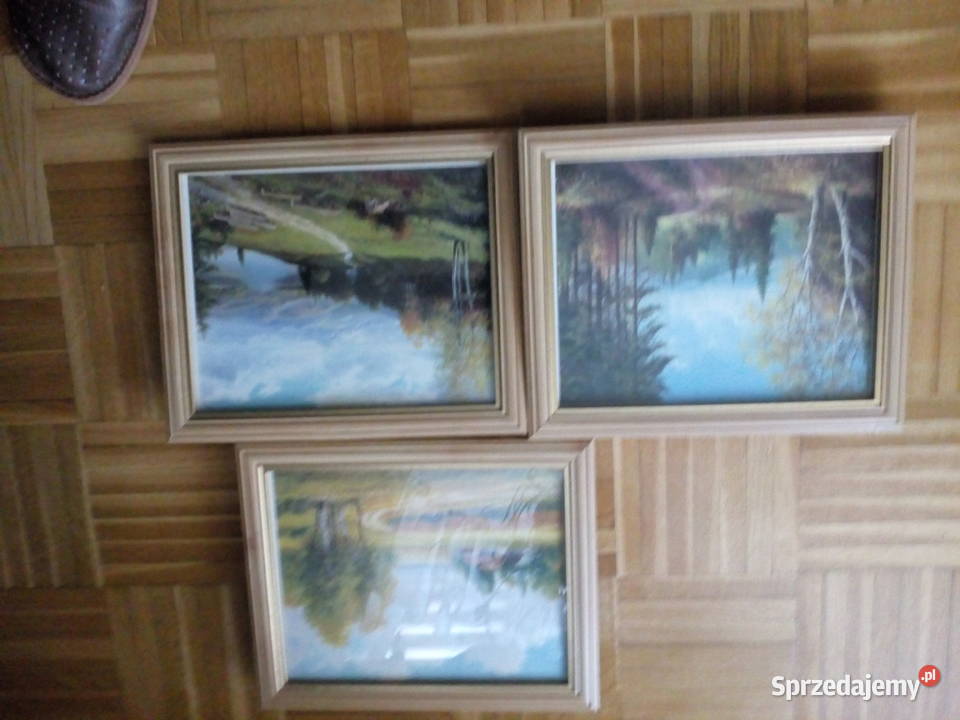 Obraz sprzedam