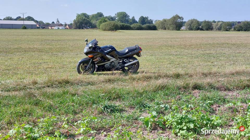 Kawasaki zzr600 Łapy