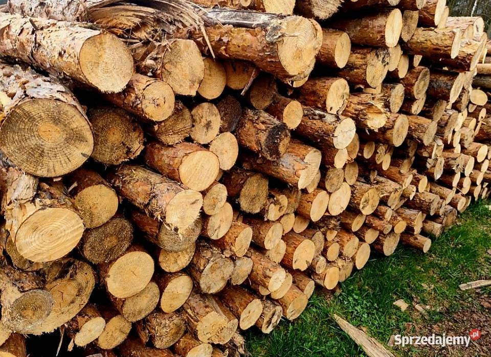 Drewno opałowe Sosna grubaOlszynabrzozatransport sprzedam