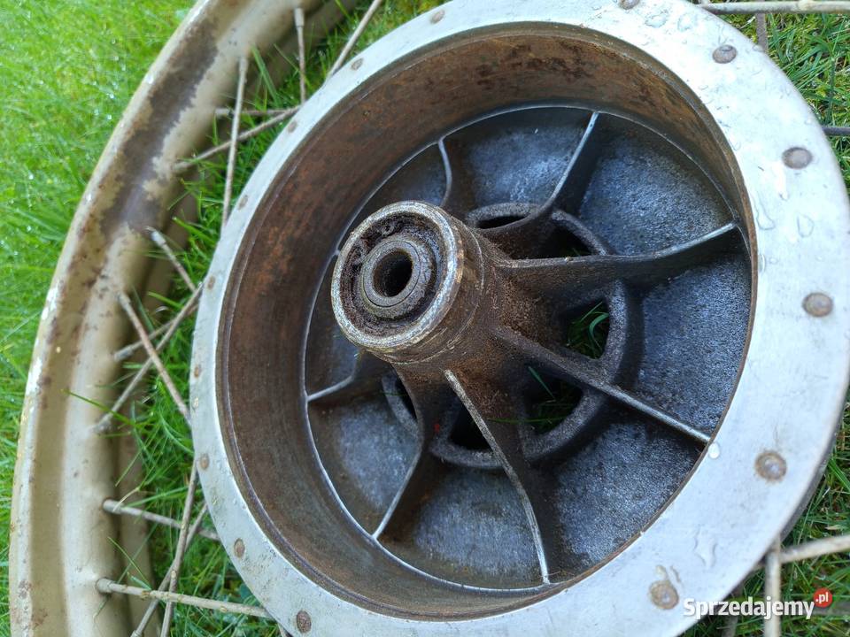 Panonia koło 19 Zgierz