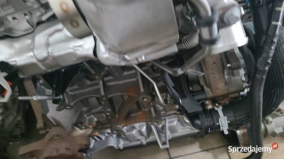 Silnik Ford Transit Kto Naprawia Fordy Transity Radom sprzedam