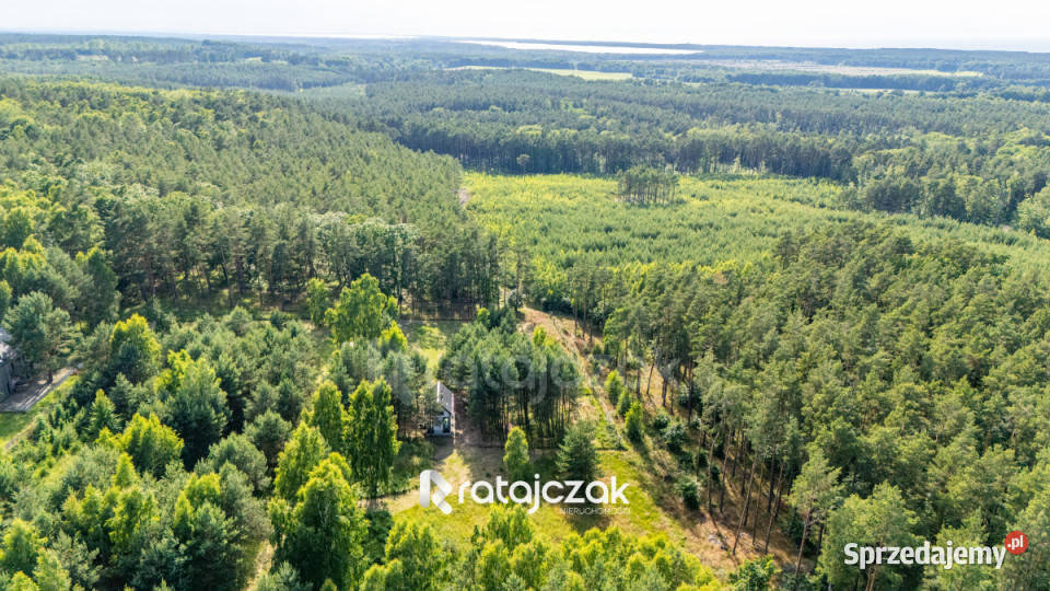 Działka 2164m2 Sasino Stara Cegielnia Sprzedaż