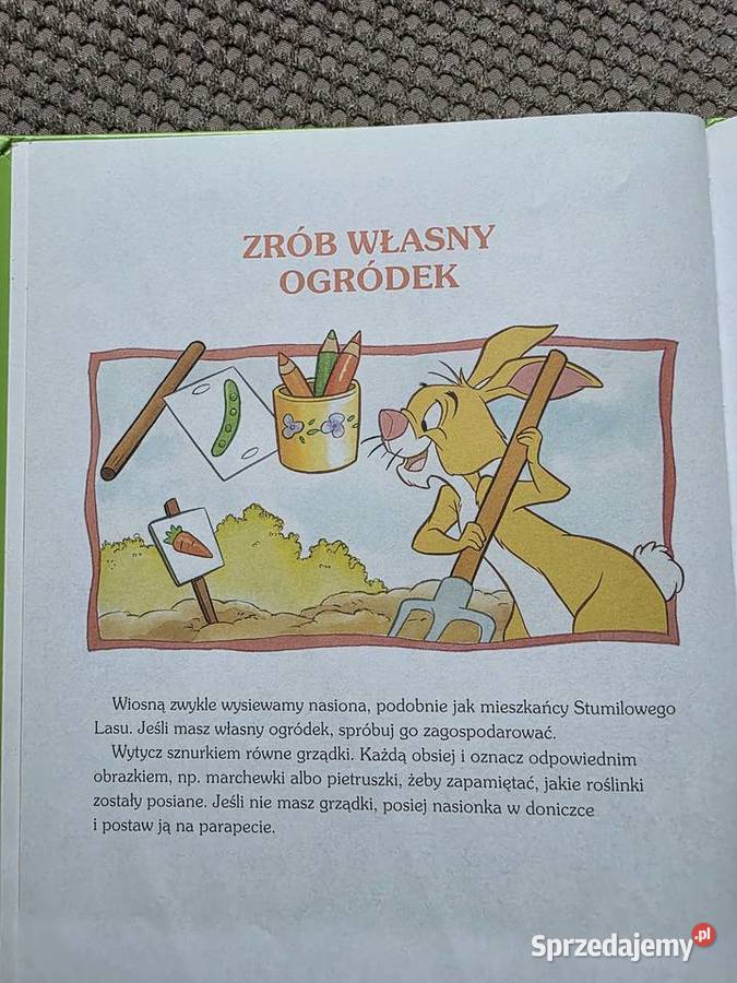 Przygody Kubusia Puchatka WIOSNA Kraków sprzedam