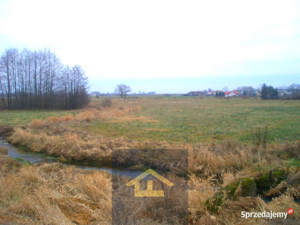 Działka budowlana w Kózkach Kózki sprzedam