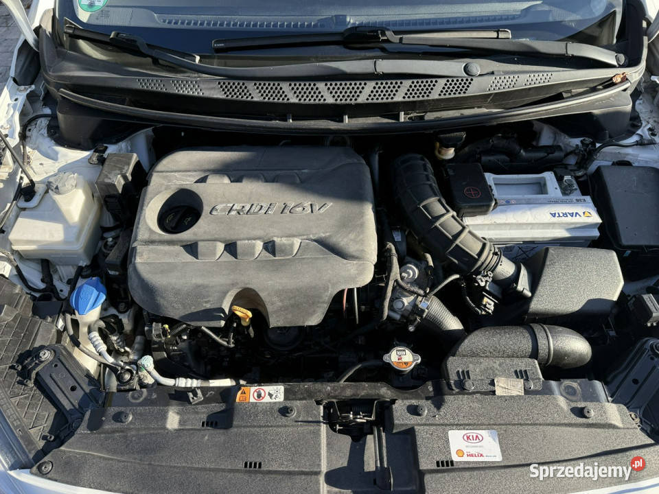 Kia Ceed Zadbana bezwypadkowa przepiękny perłowy kurtyny powietrzne Poznań