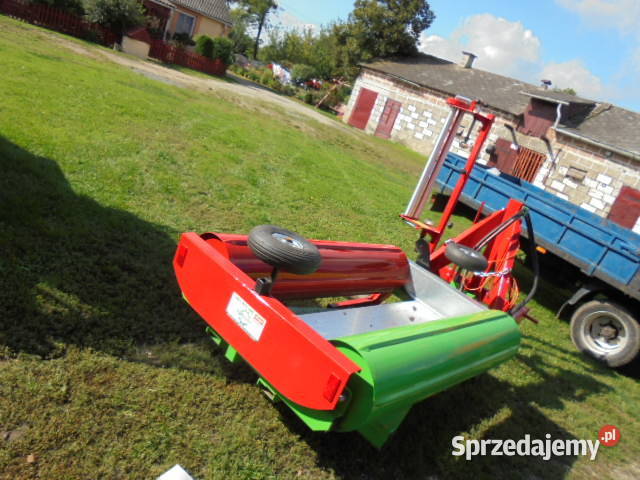 Owijarka Tosia małopolskie Czernichów