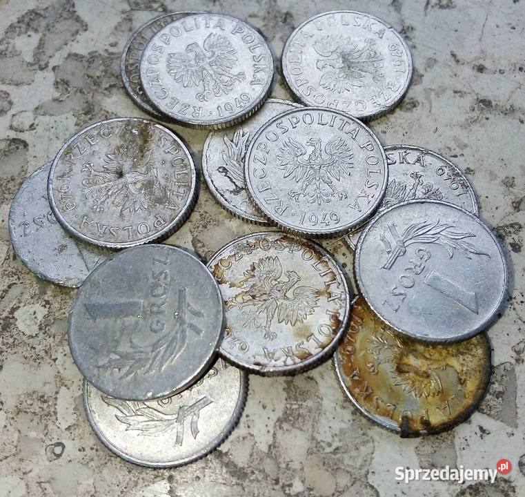 POLSKA 1 GROSZ 1949 rALbz12 SZTUK mazowieckie Legionowo