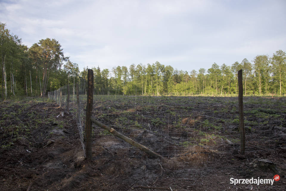 Siatka leśna 2001730M Super gruba Ostrołęka sprzedam