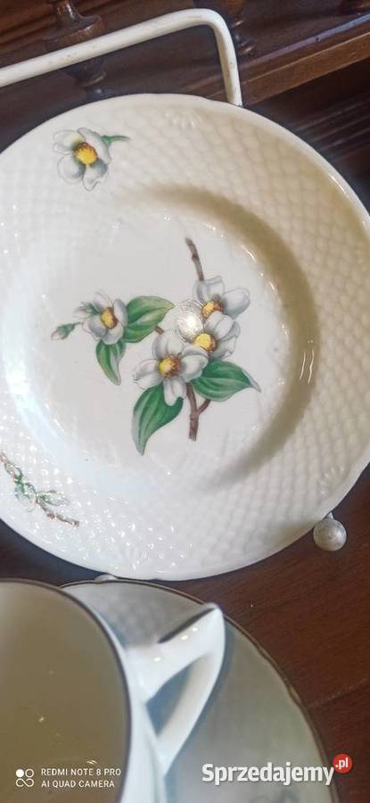 Serwis obiadowy BG Kjbeham Royal Copenhagen Porcelana i szkło Gdańsk
