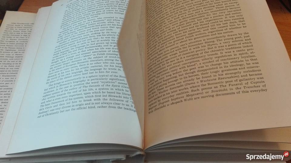 A history of Polish literature by Julian Gdańsk sprzedam