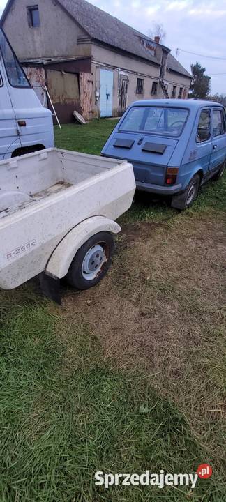 Niewiadów n 250c przyczepka Fiat 126p Niewiadów Rypin sprzedam