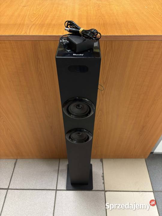 Bluesky BTST100 Kolumna Głośnikowa Tower 100W Słuchawki i głośniki Elbląg
