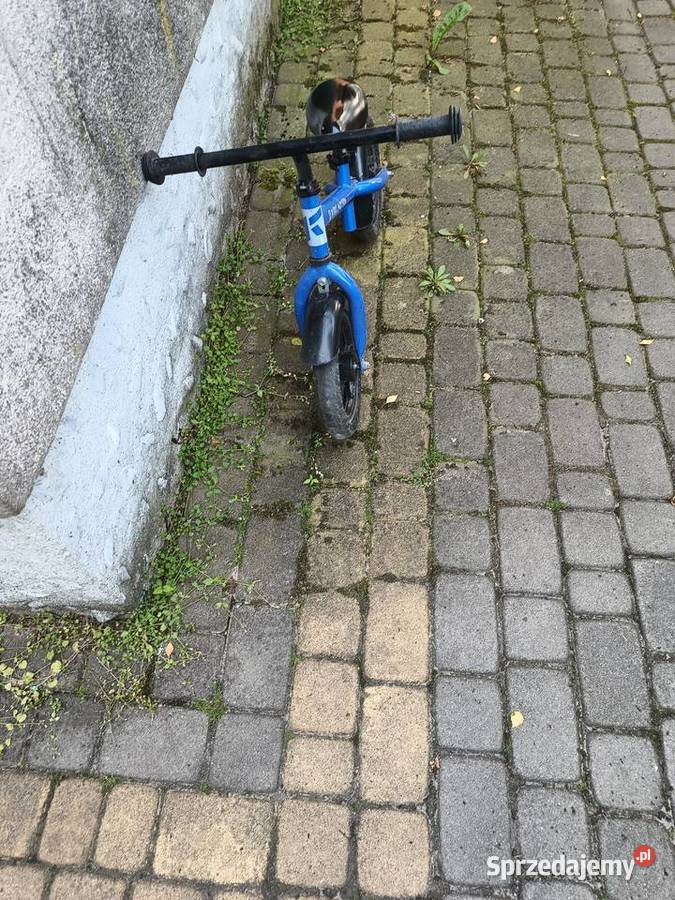 rowerek biegowy kids motion