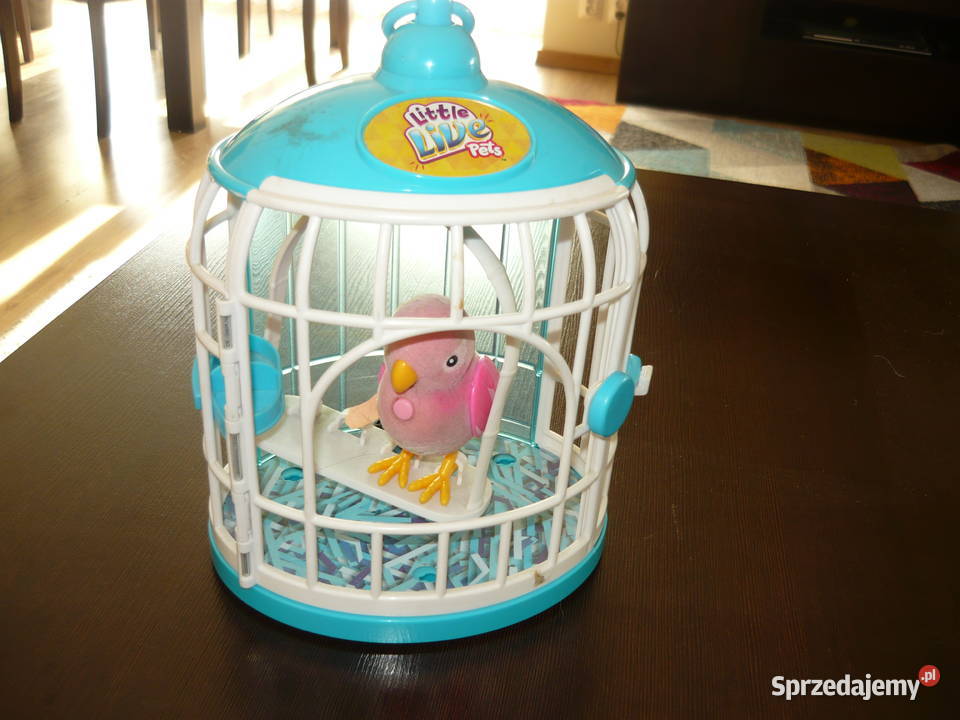 Zabawka sowa w klatce zachodniopomorskie Szczecin