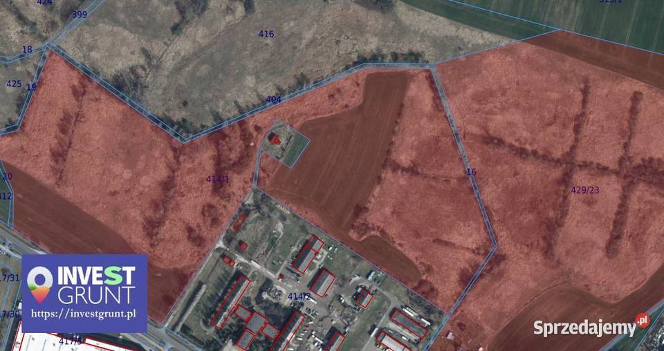3318 ha przetarg na dzierżawę gruntów rolnych 331800m2 Nowa Wieś Legnicka