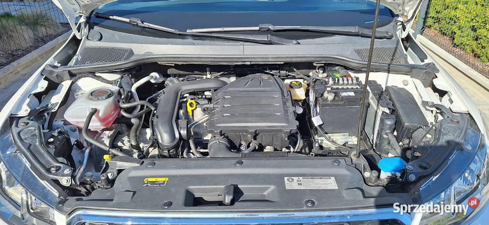 Seat Arona 10 115 mały przebieg Automat automatyczna Września