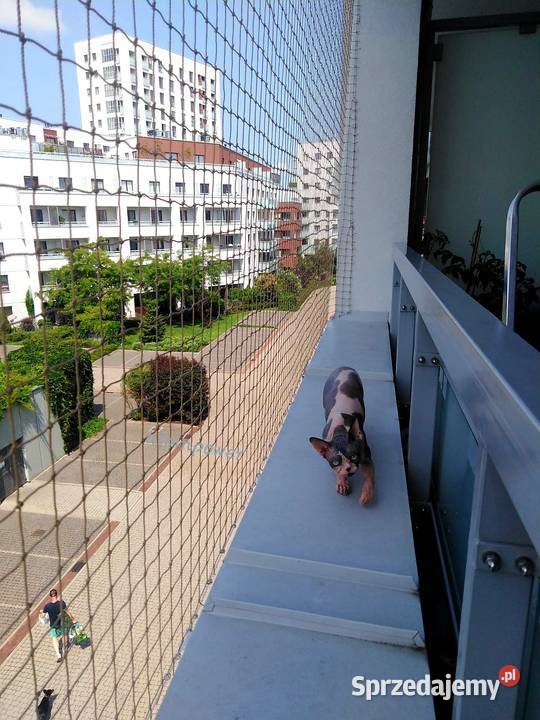 Zabezpieczenie balkonu kot Warszawa Montaż Sitki